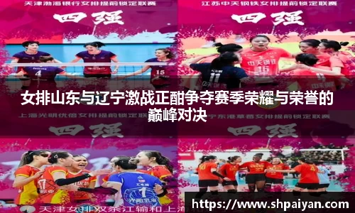 女排山东与辽宁激战正酣争夺赛季荣耀与荣誉的巅峰对决